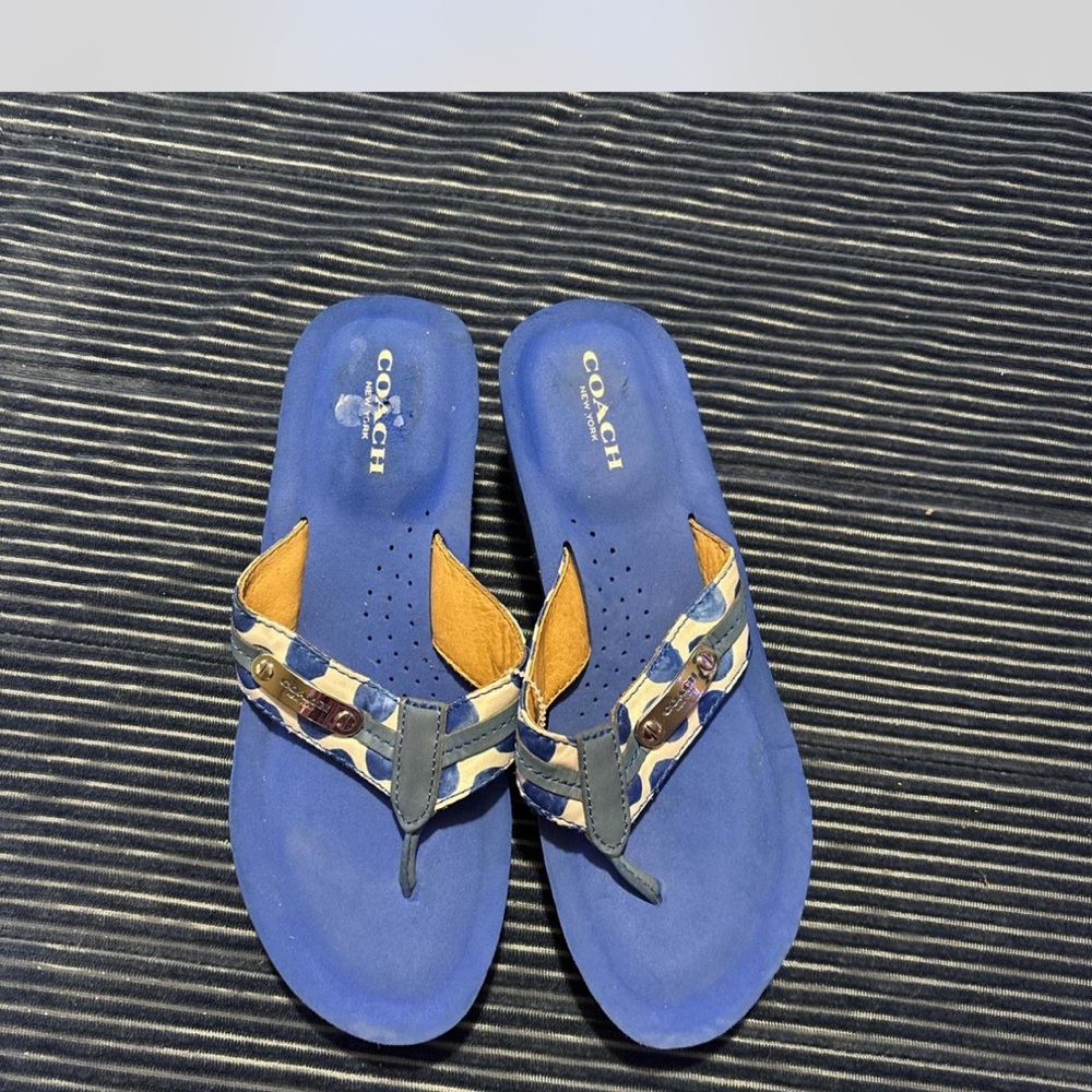 Coach Blue  Flip Flop Sandals